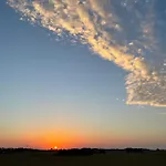 Novi *