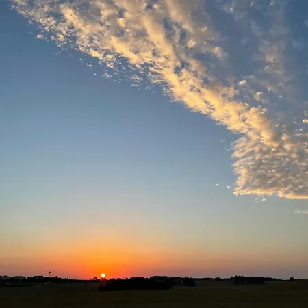 Novi *